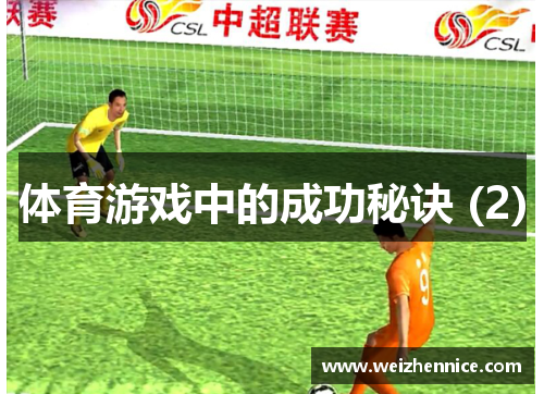体育游戏中的成功秘诀 (2)