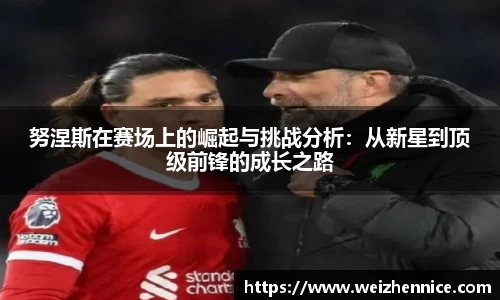 努涅斯在赛场上的崛起与挑战分析：从新星到顶级前锋的成长之路